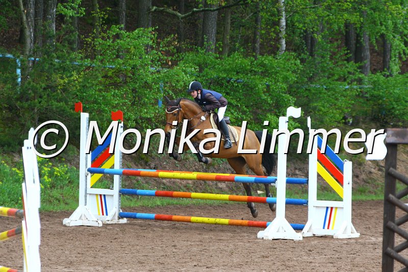 005L4945_Luna_Spring  Ax.JPG